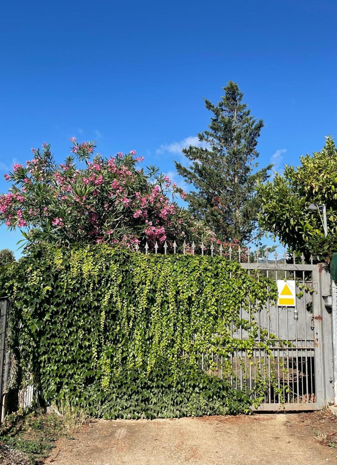 Can Wancho Botarell Exterior photo